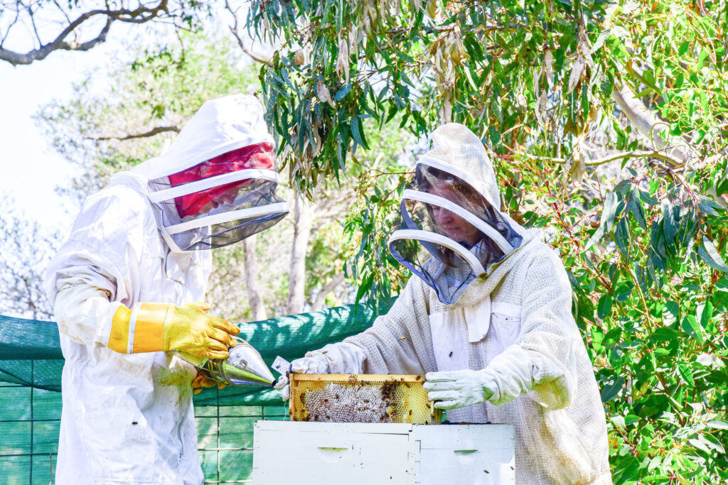 Beekeeping vocational program