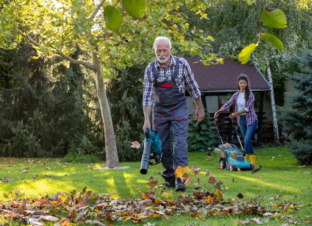 Autumn Lawn Care Tips
