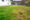 lawn-care-tips-australia