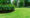 Lawn-Care-Tips-Choosing-the-right-lawn-for-your-home