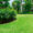 Lawn-Care-Tips-Choosing-the-right-lawn-for-your-home