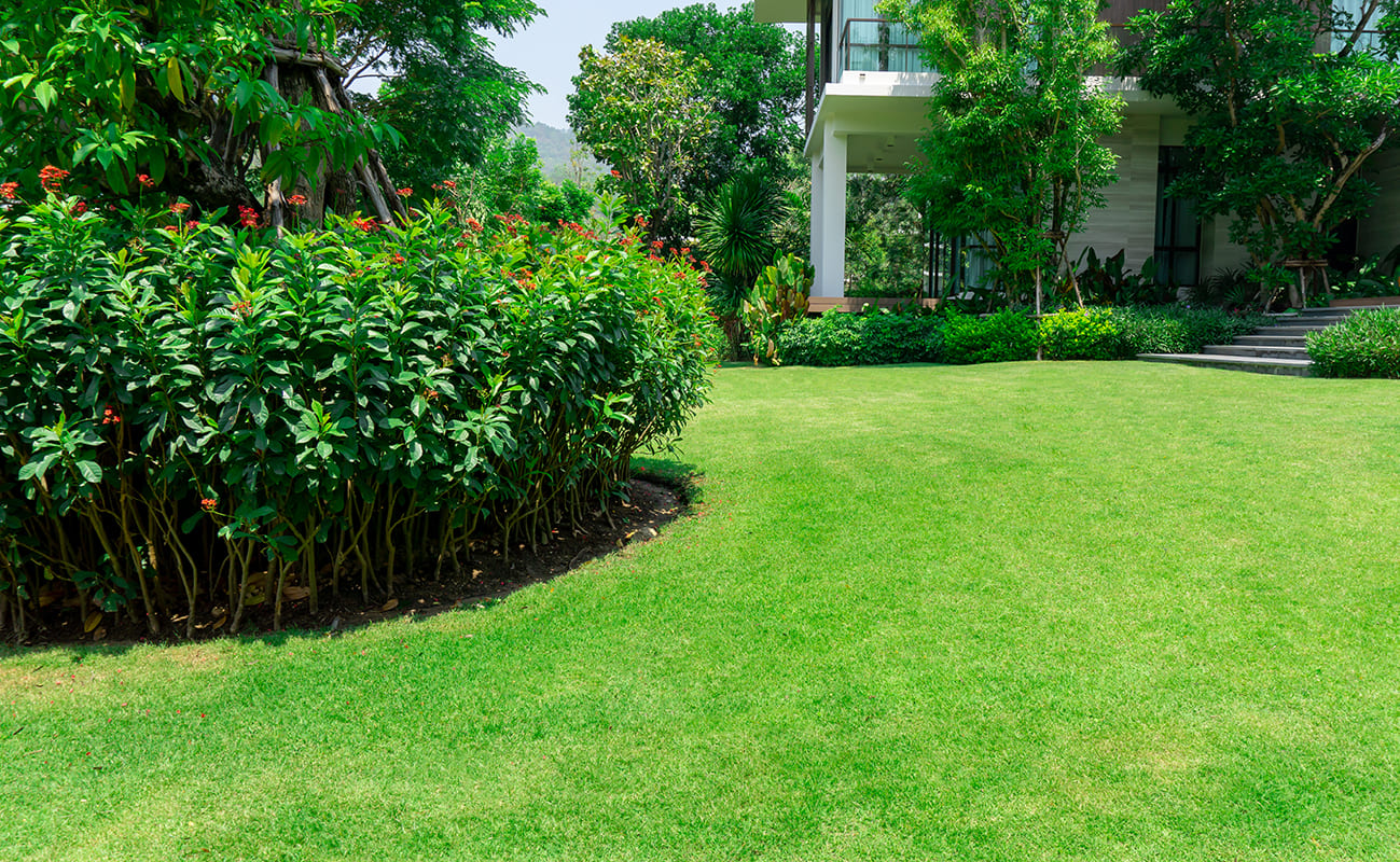 Lawn-Care-Tips-Choosing-the-right-lawn-for-your-home