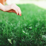 Lawn-Care-Tips-A woman-Touching-newly-cut-lawn