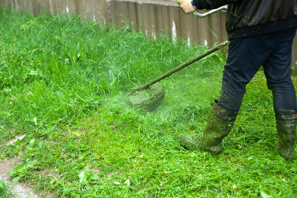 A man aerating backyard lawn for sustainable lawn care