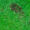 Lawn-Care-Tips-Bare-Patch-in-a-Lawn