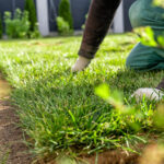 Lawn-Care-Tips-Fixing-Sides-of-a-Lawn