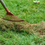 Lawn-Care-Tips-Raking-grass-after-aeration