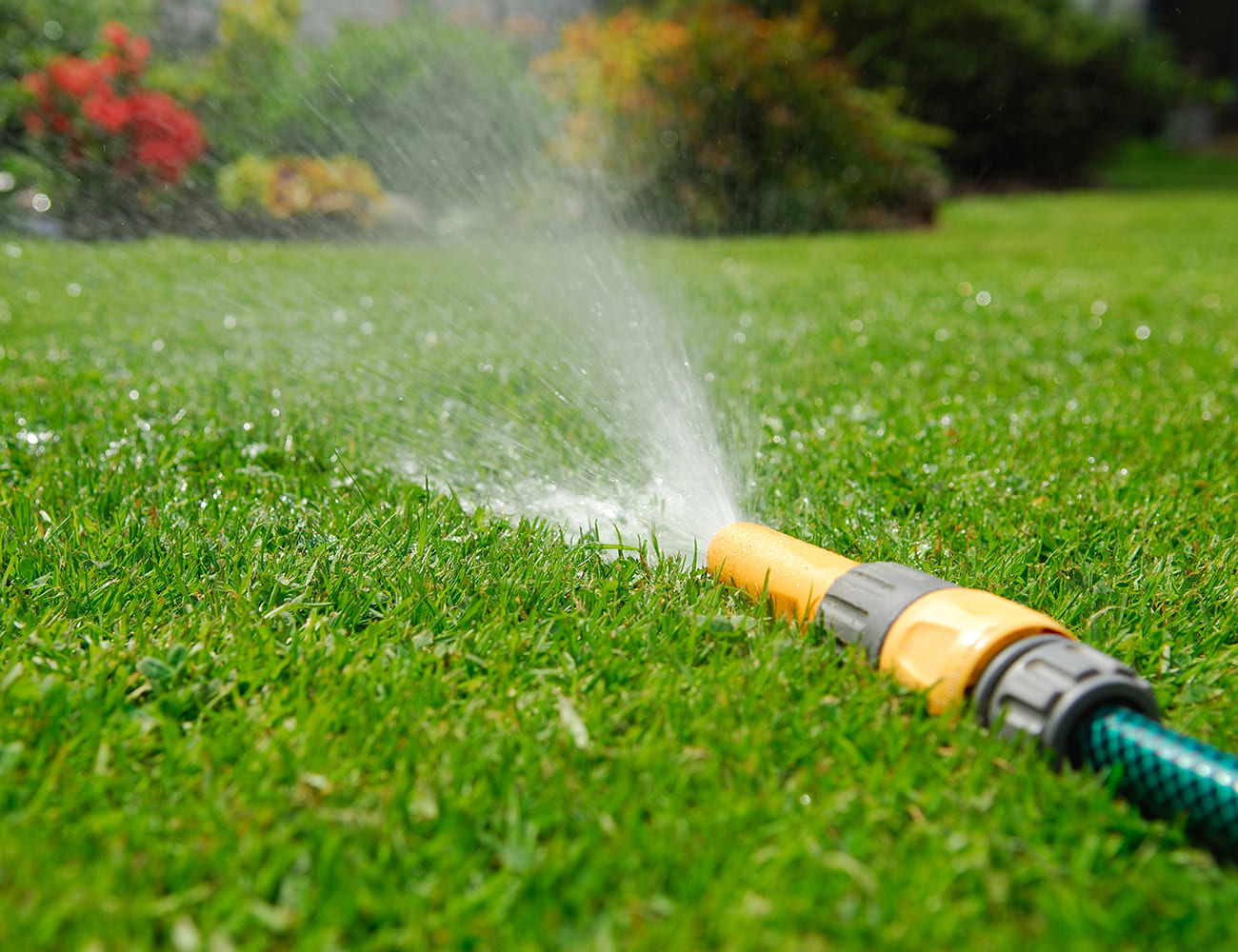 Lawn-Care-Tips-Watering-the-lawn-using-a-hose