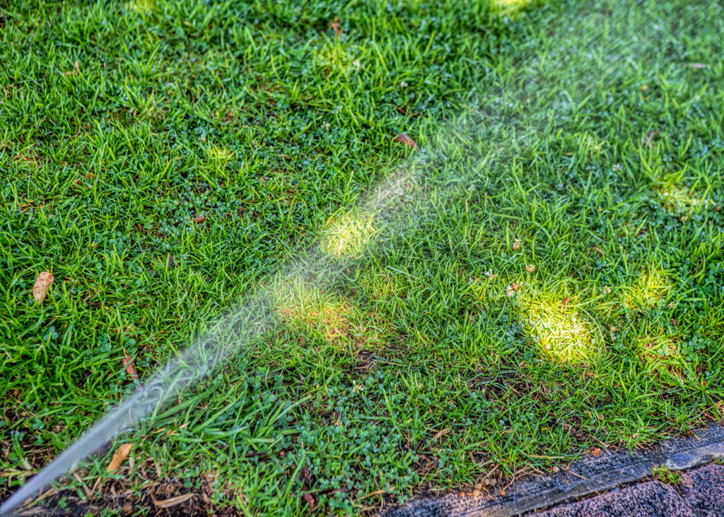 Lawn-Care-Tips-Watering-the-lawn-early-in-the-day