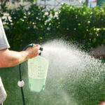 Lawn Care Tips_ Managing Lawns in Drought-Prone Areas _ man watering the lawn