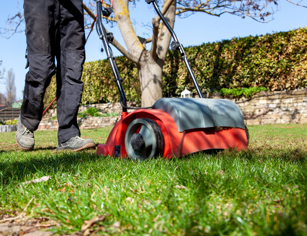 Lawn-Care-Tips-Mowing-your-lawn-during-dry-periods