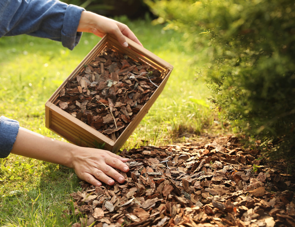 Lawn-Care-Tips-Using-mulching-during-a-drought