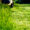 Lawn Care Tips The right way to mowing a lawn