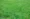 Eco-friendly-lawn-products-Lush-green-lawn