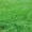 Eco-friendly-lawn-products-Lush-green-lawn