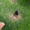 Sustainable-gardening-solutions-Bare-patches-in-a-lawn
