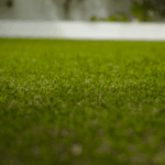 Lush and green lawn grass variety for Australian Condition