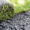 Lawn-Care-Tips-Setting-a-turf-on-soil