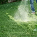 Australian-Lawn-Care-Watering-lawn-during-the-morning