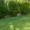 Australian-Lawn-Care-Green-lush-lawn-in-the-morning