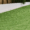 Australian-Lawn-Care-Green-lush-lawn-in-the-morning