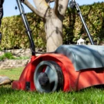 Australian-Lawn-Care-Keeping-lawn-clean-using-a-mower