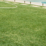 Australian-Lawn-Care-to keep a healthy lush lawn in Autumn