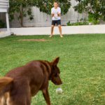 A boy and a dog playing in a Healthy Lawn Australia