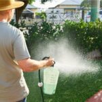 Low-maintenance lawn care - Man watering his lawn with eco friendly lawn care solutions